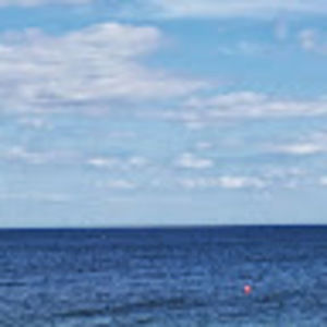 Meet your Posher, Tracey